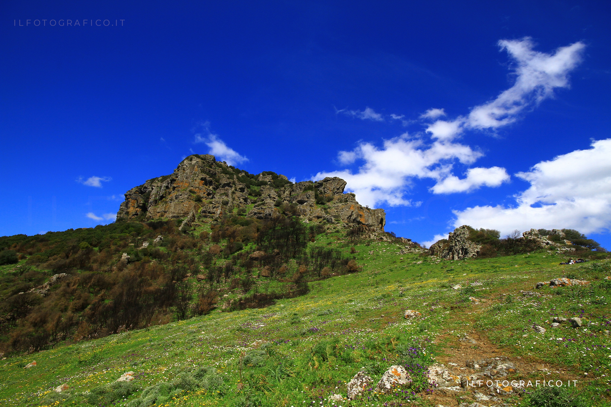 monte arcuentu arbus